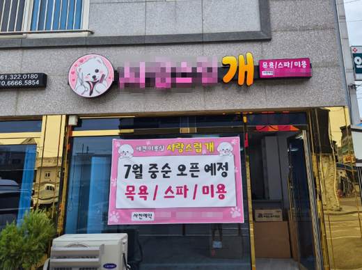 이바우펫 애견미용학원 gal