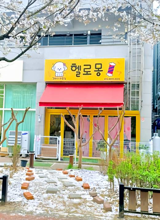이바우펫 애견미용학원 gal