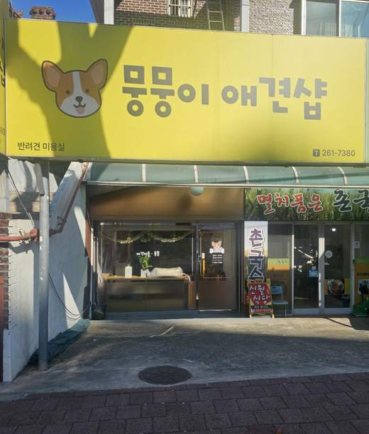 이바우펫 졸업생 창업 매장