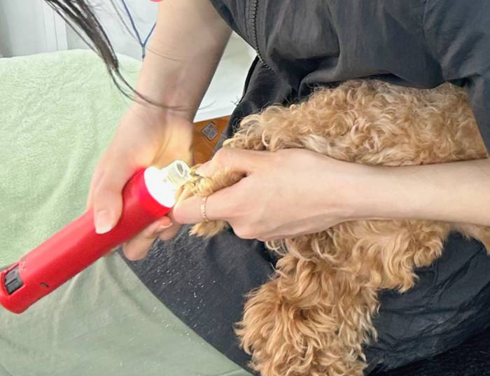 이바우펫 실견 실습 장면