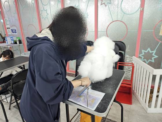 이바우펫 실습 과정