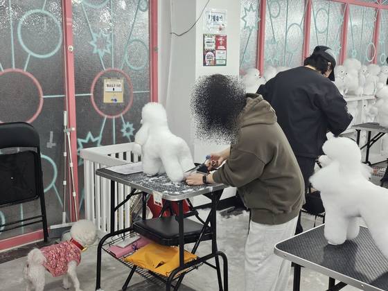 이바우펫 실습 과정